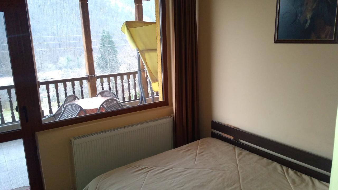 Guest House Alfa Daniel Balkanets  المظهر الخارجي الصورة